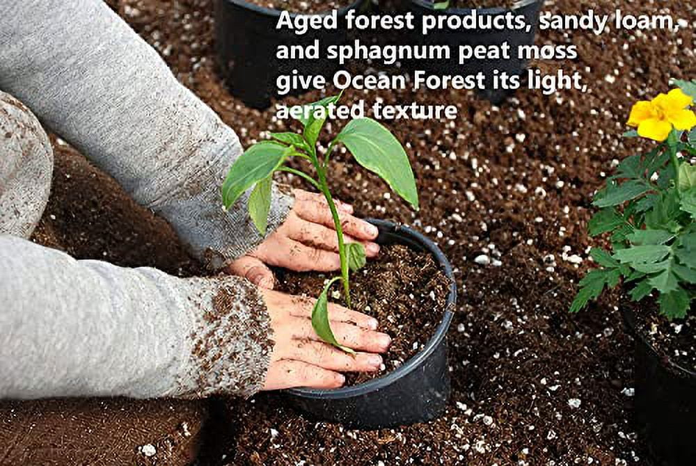 FX14080 Ocean Forest Potting Soil, 12-Qt. - Quantity 1