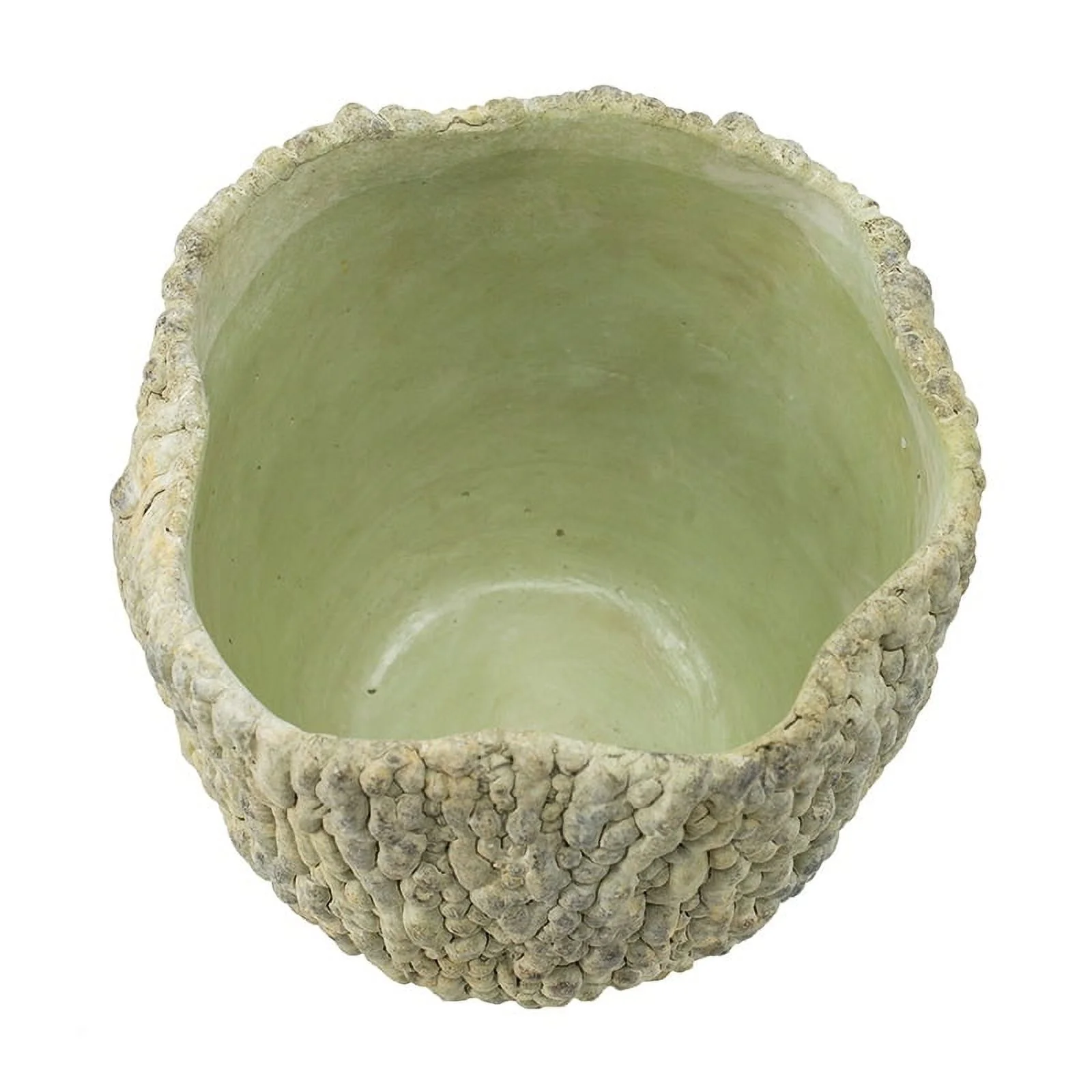 Bitter Gourd Outdoor Planter - 7