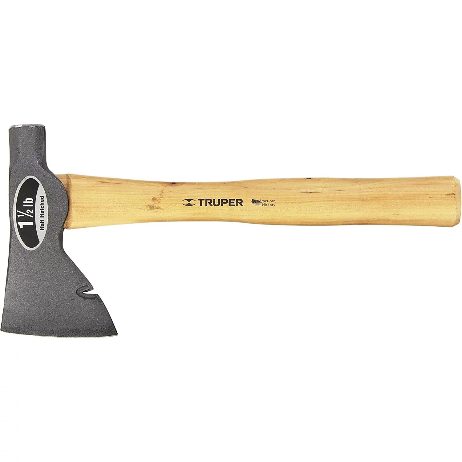 Live Tillandsia Air Plants and Air Plant Holder Complete with Ceramic 