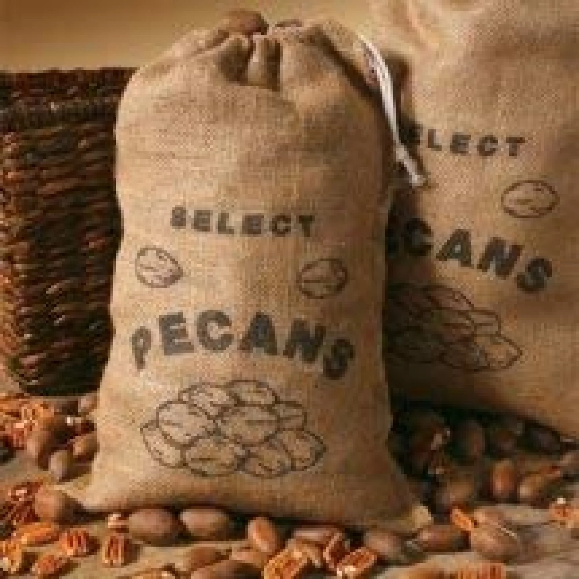 Holiday Gift Box! 6 Large Traditional Pecan Logs 4 oz each - Mascot Pecan serving up delicious Pecans since 1955