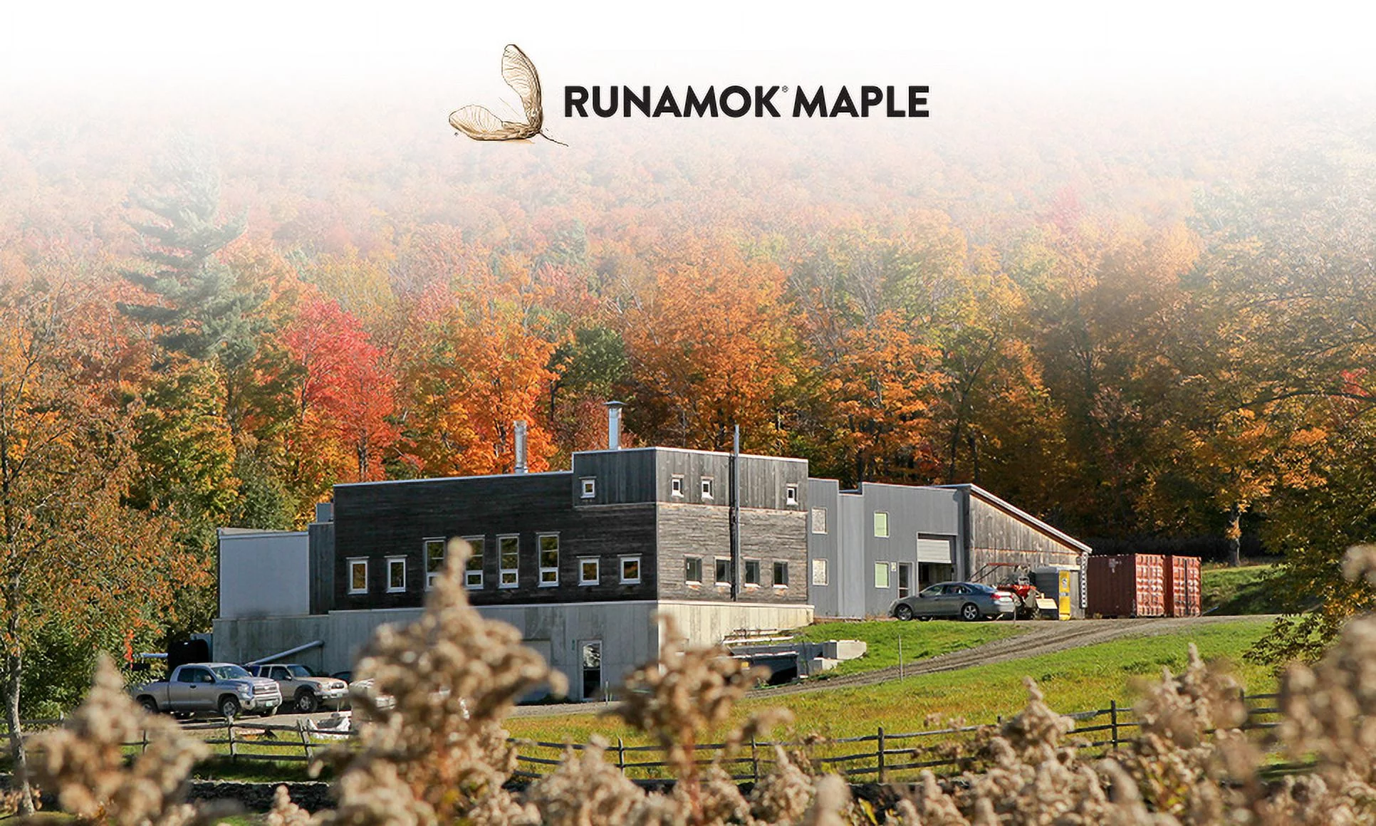 Runamok Maple 985050 Pantry Favorites Maple Syrup