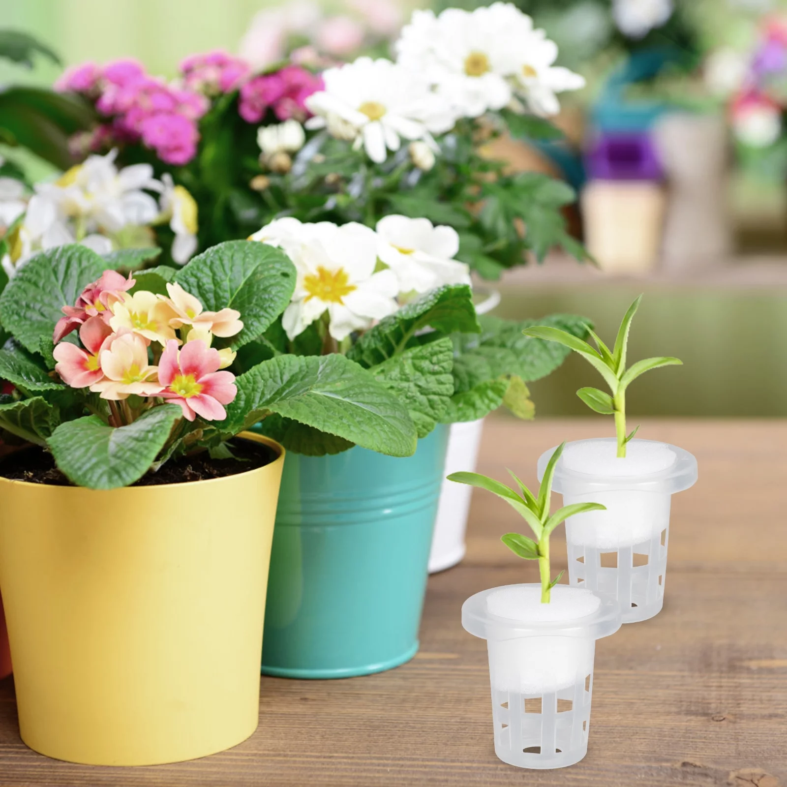 Hydroponic Planting Basket Nursery Baskets Plants 100 Pcs Pp Cotton Hydraulic Nail Pot Hidroponia Cultivation