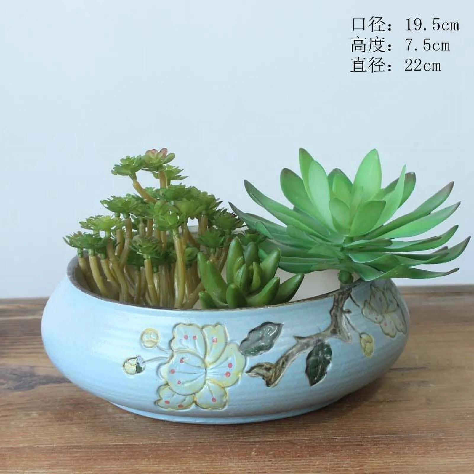 Ceramic Succulent Planter - Hand-painted Large Desktop Planter