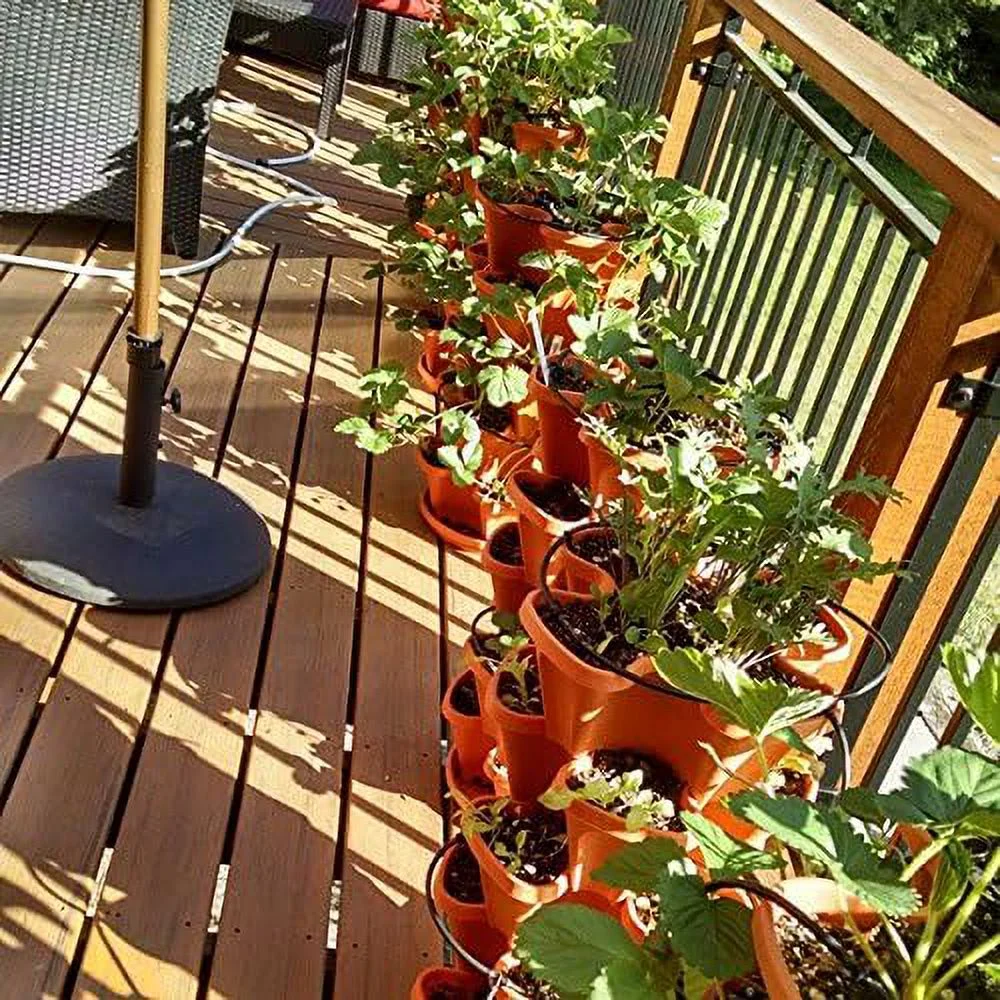 Planter, Terra Cotta