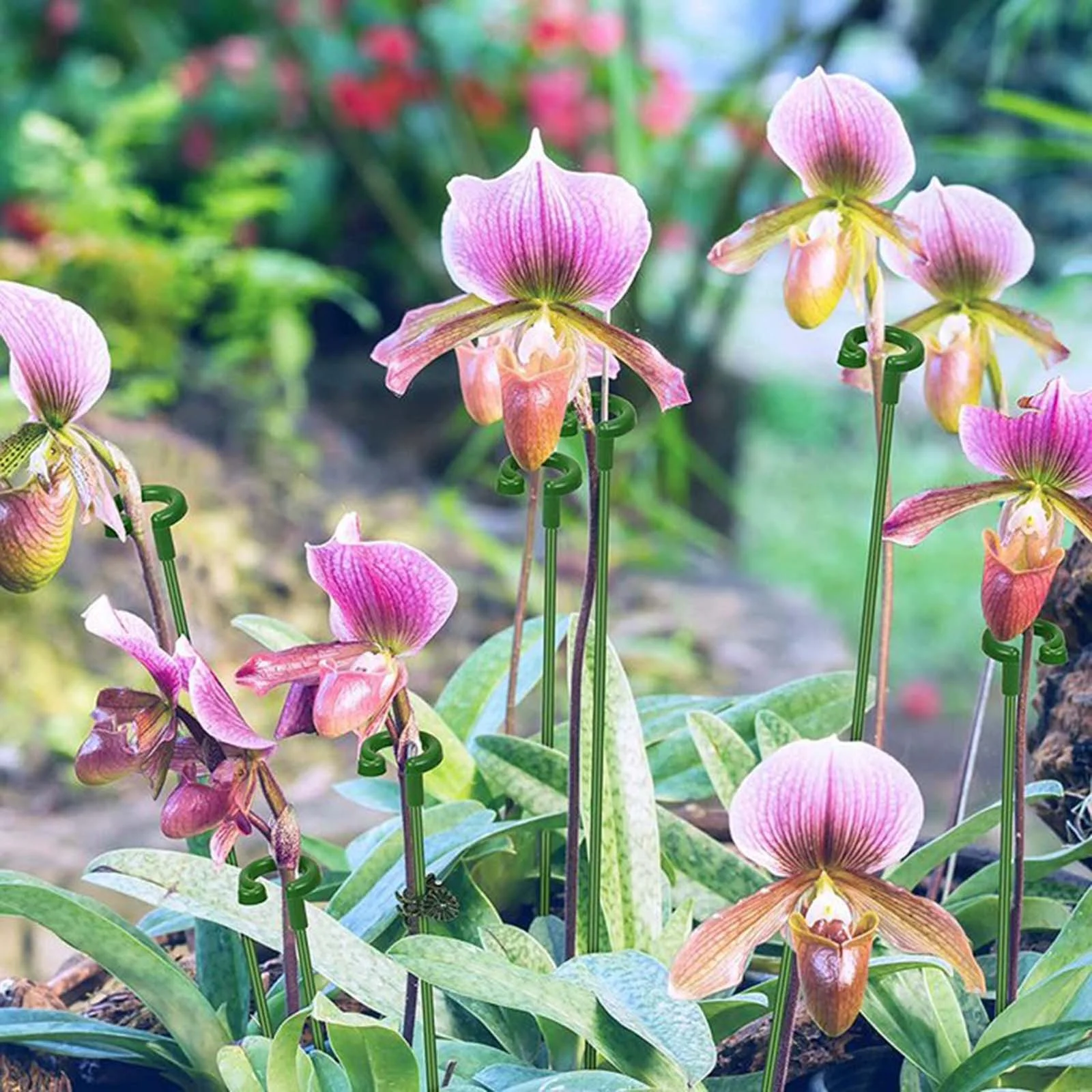 QNFEPKG Gardening 8 Figure Buckle Climbing Vine Tomato Binding Tape Tomato Clip Clip Vine Binding Clip