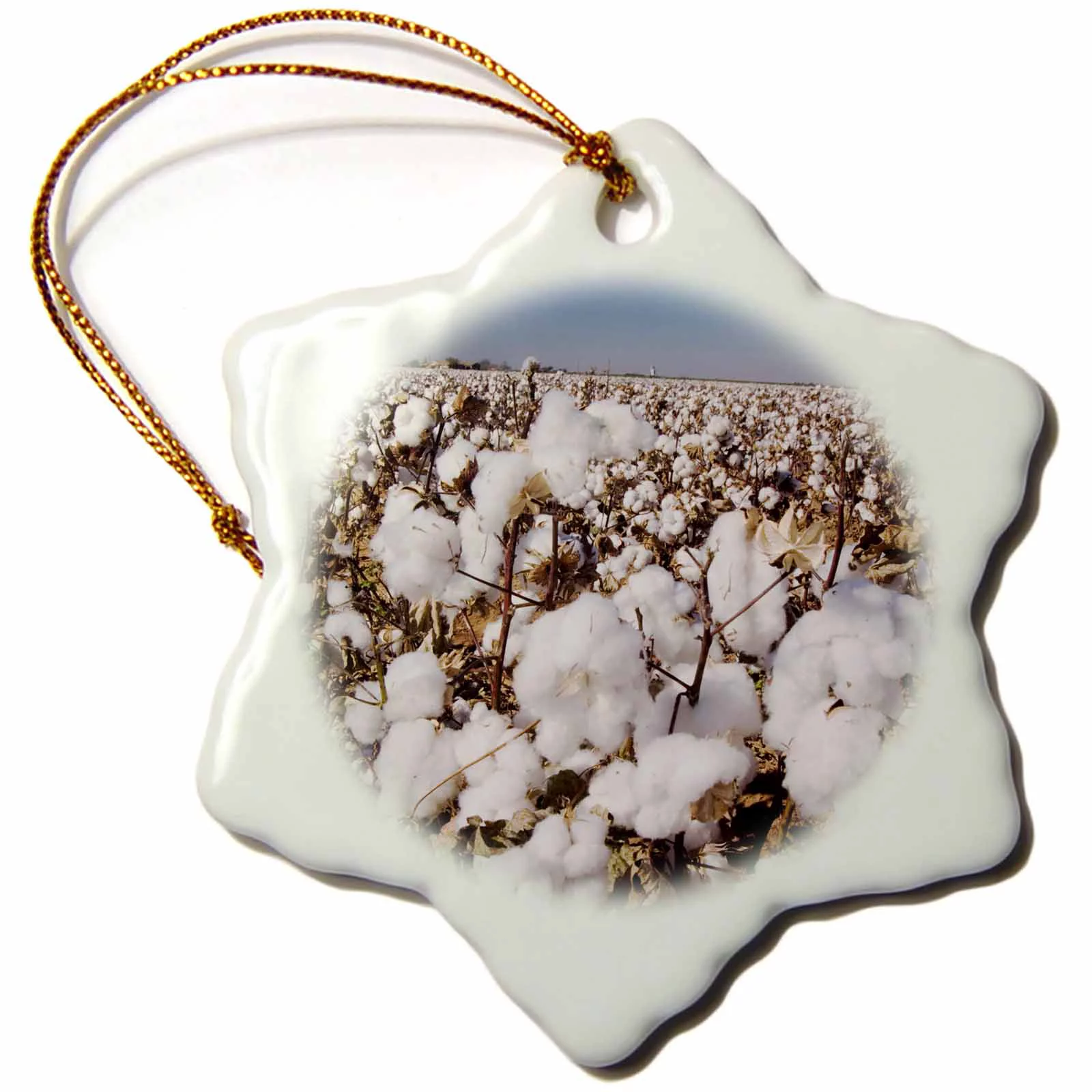 Cotton Plant, Agriculture, Lubbock, Texas - NA02 RNU0522 - Rolf Nussbaumer 3 inch Snowflake Porcelain Ornament orn-84481-1
