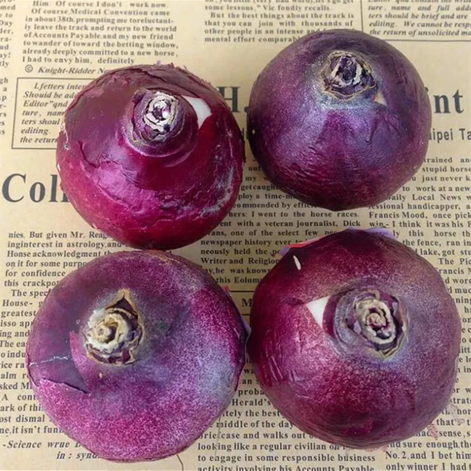 Hyacinth Bulbs, Seasonal Flowers, Fragrant Flowers, Perennials,Hyacinth,Cut Flowers Hyacinth Bulbs For Sale