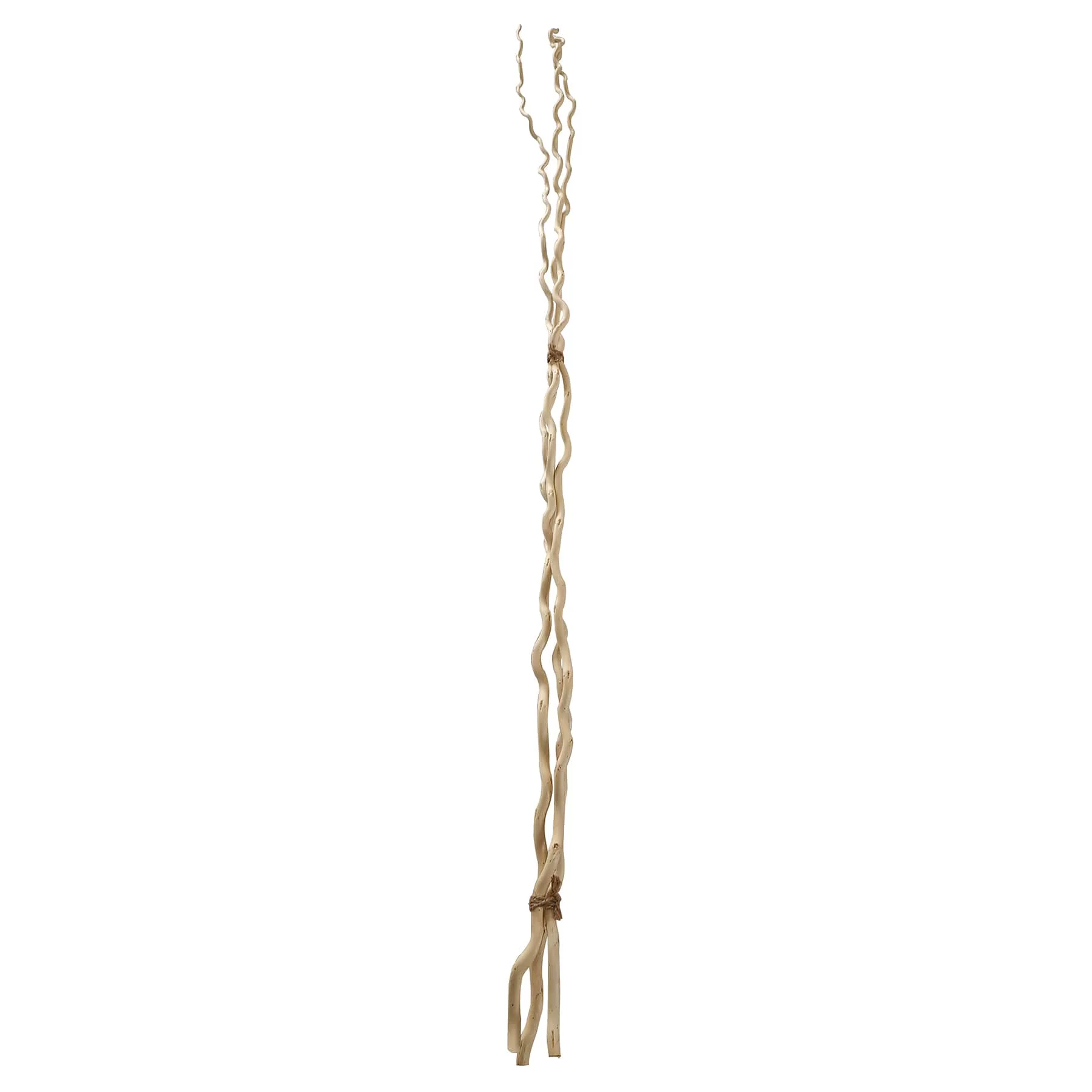6 Pack: Cream Curly Willow Branch Bundle by Ashland®