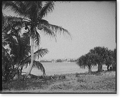 Historic Framed Print, [Lake Worth and Royal Poinciana, Palm Beach, Fla.], 17-7/8