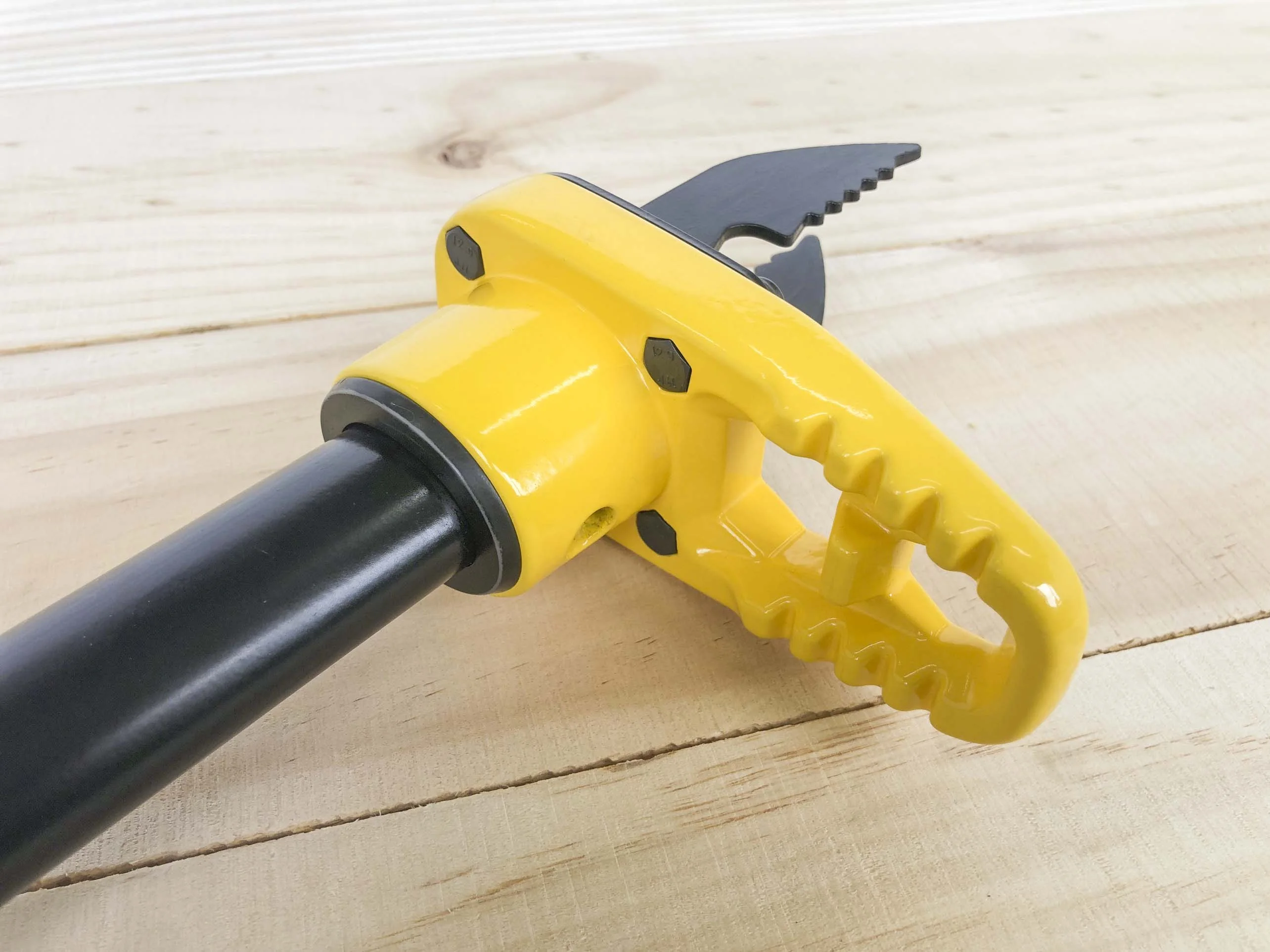 Expert Gardener   43