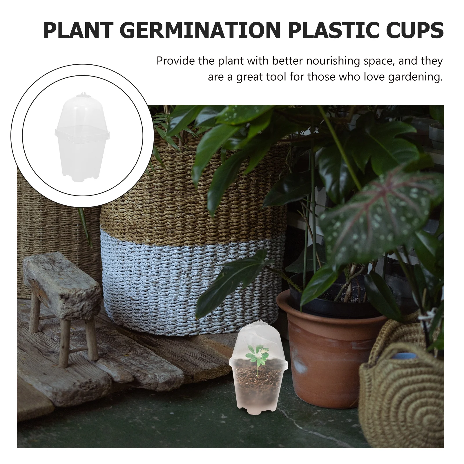 Guichaokj 10 Sets Plant Germination Plastic Cups Plant Growing Boxes Nursery Sowing Pots with LIds