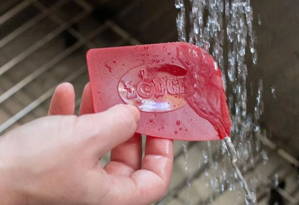 Lodge SCRAPERPK Durable Polycarbonate Pan Scrapers, Red and Black, 2-Pack 3, Black