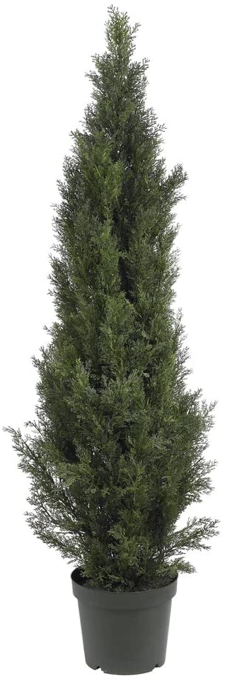 HYUN 5291 5ft. Mini Cedar Pine Tree (Indoor/Outdoor),Green,5'