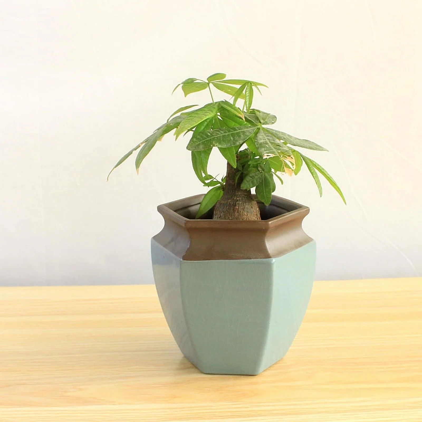 Garden Ceramic Succulent Planters - Pottery Green Plant Pots