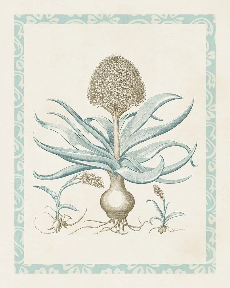 Vision Studio 12x14 Black Ornate Wood Framed with Double Matting Museum Art Print Titled - Willow Blue Besler IV