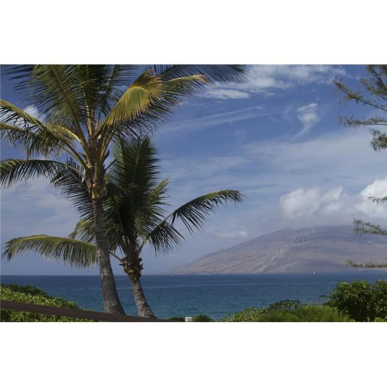 Palm Trees Near Kalama Beach Park West Maui Mountains in Background - Kihei Maui Hawaii United States of America Poster Print by Peter French - 38 x 24 - Large