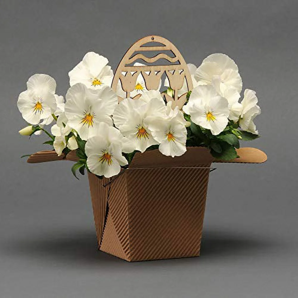 Outsidepride Pansy Cool Wave White - 30 Seeds