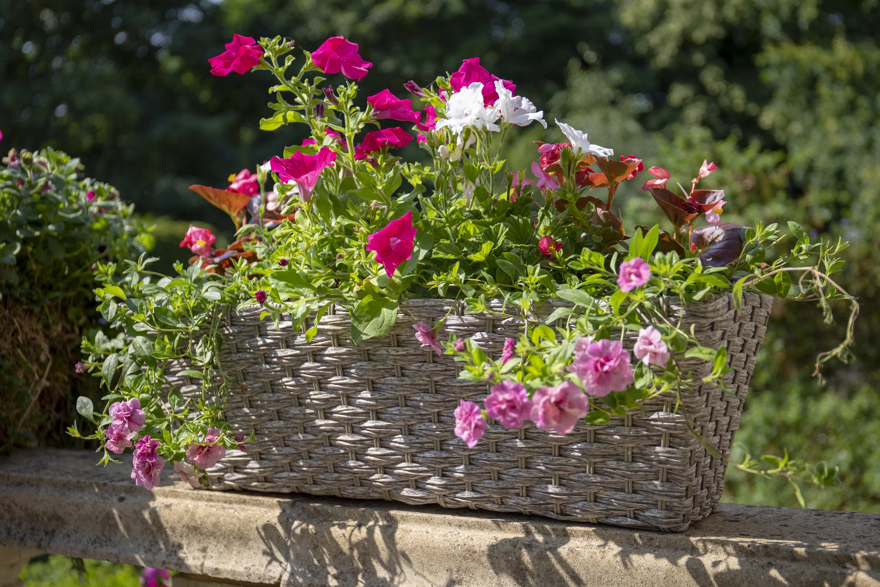 Gardman R02116X 20 in. Mountain Grass Effect Multi Mount Planter