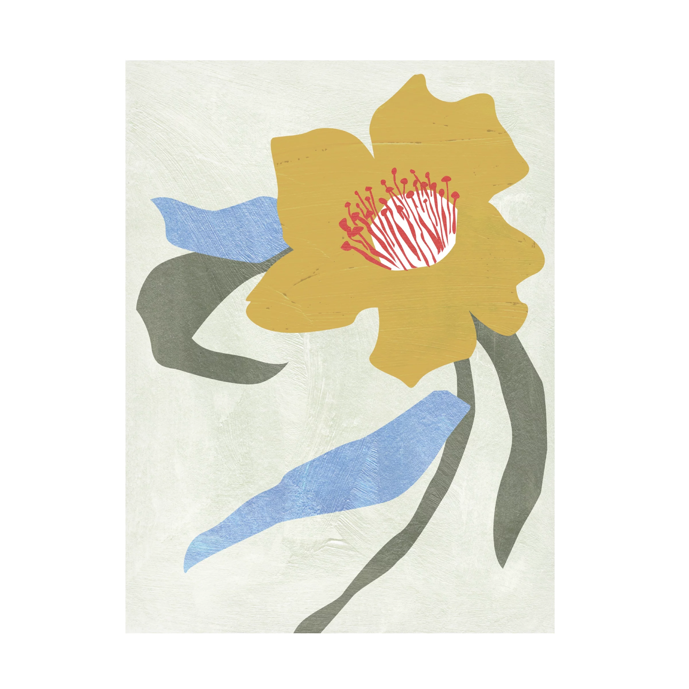 Melissa Wang 'Lenten Rose II' Canvas Art