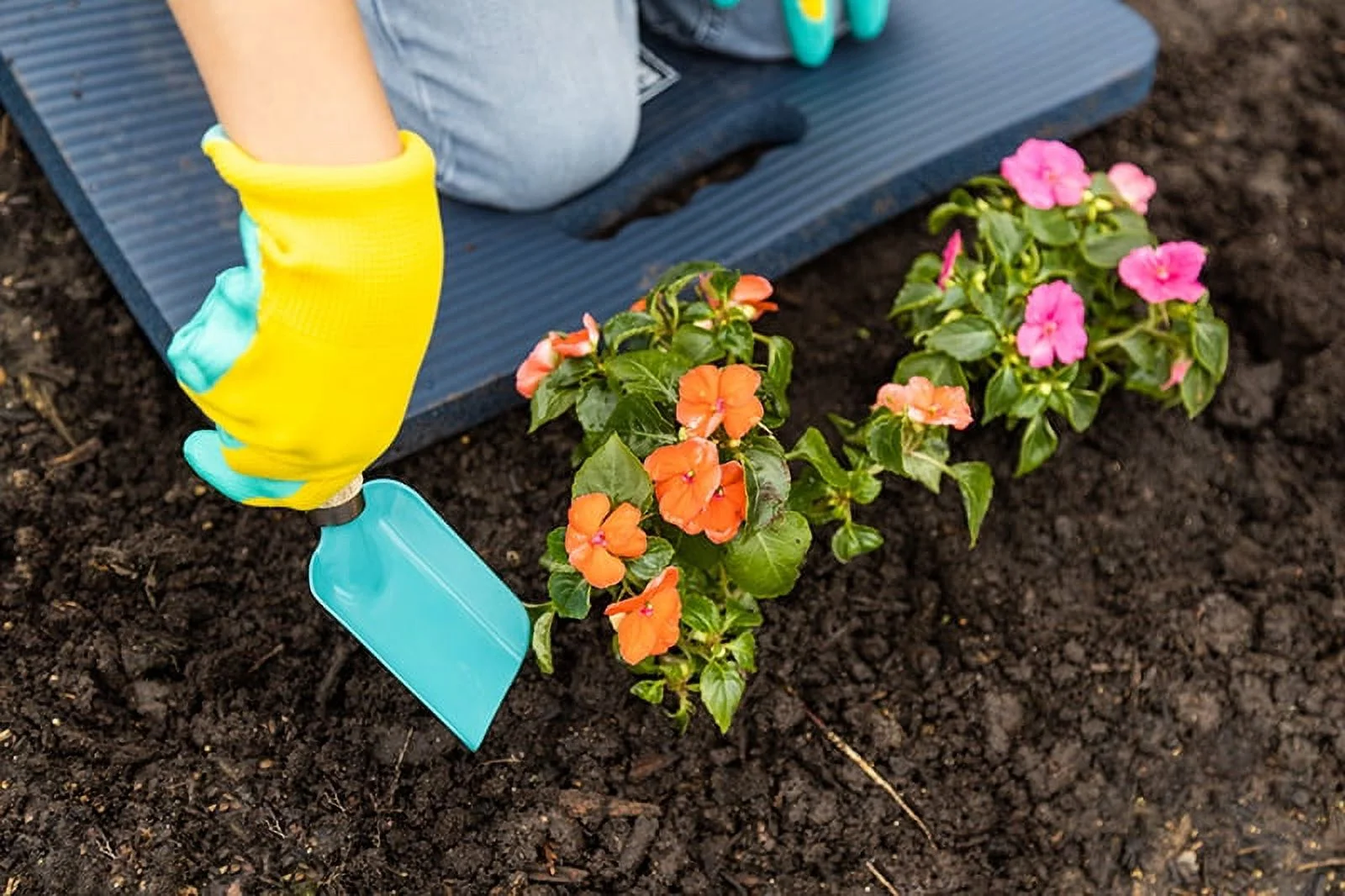 Expert Gardener Kids 6-Piece Tool Set