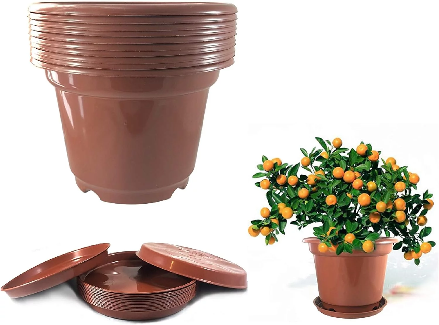 6 Pcs / 4.5 Gallon Diameter 12.13