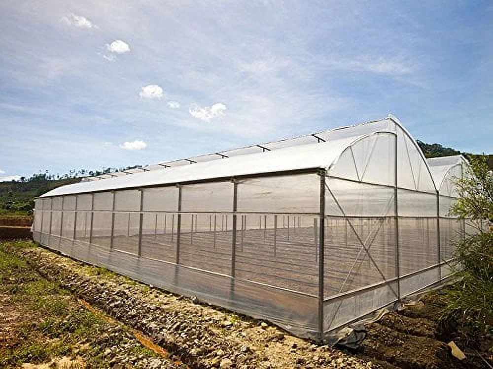 Greenhouse Plastic Film Clear Polyethylene 6 mil 4 Year UV Resistant Cover (8 ft Wide x 25 ft Long)