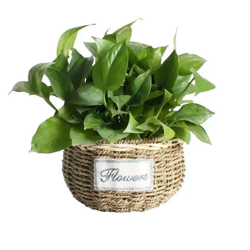 Flower Basket Straw Rattan Basket Flower Arrangement Wall Flower Pots Green Plants Succulent Pots Rustic Rattan Flower Basket