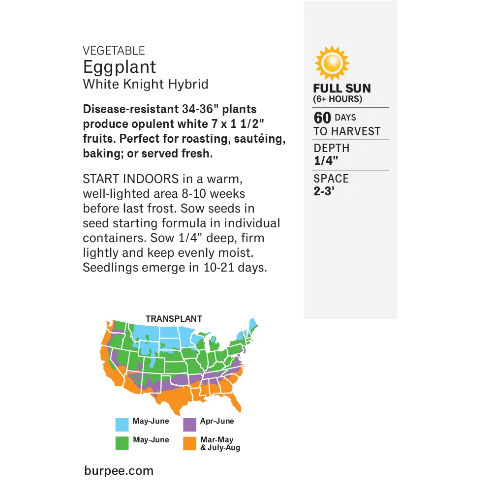 Burpee Green Knight Eggplant Vegetable Seed, 1-Pack