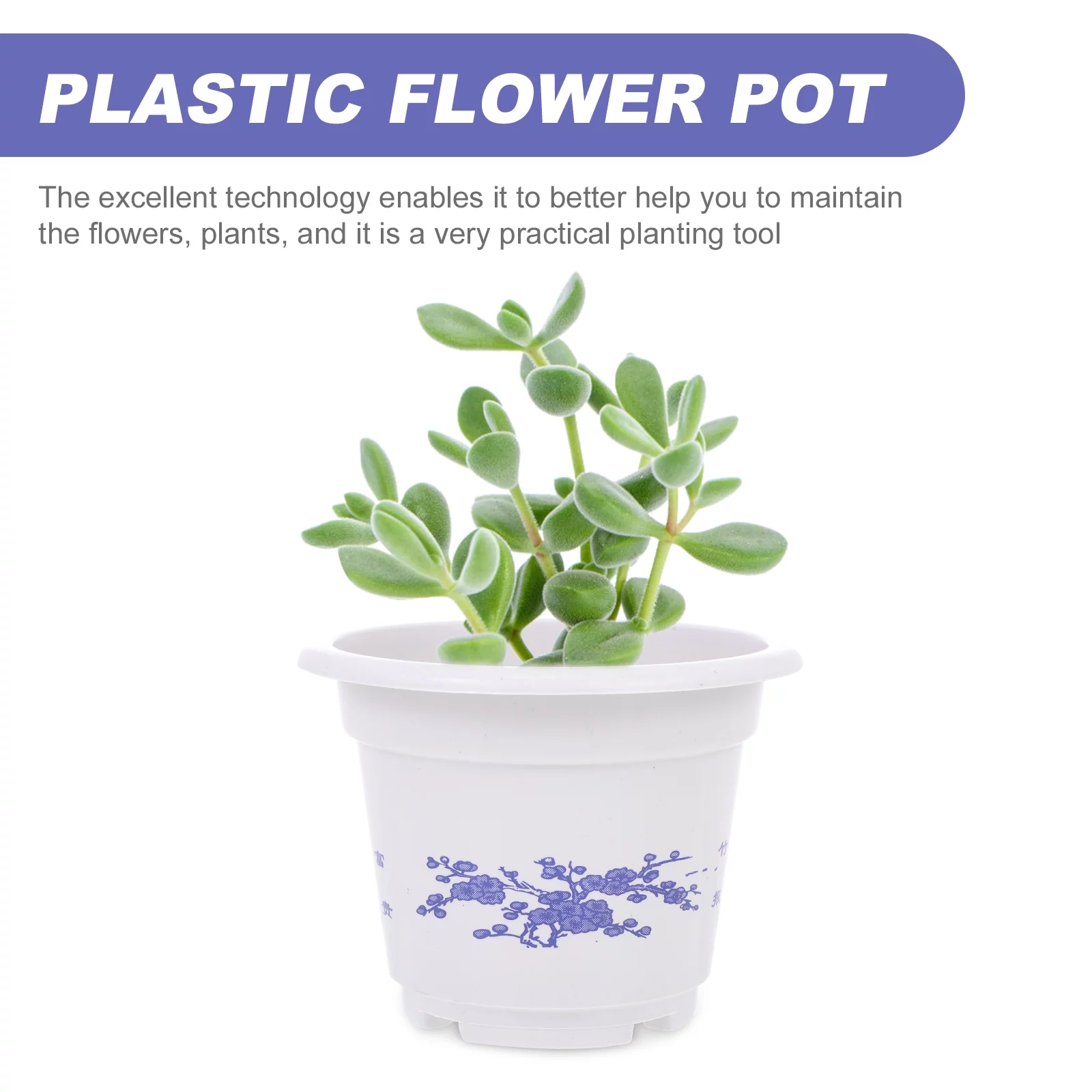 20 Pcs Oval Flower Pot Home Planting Plastic Flowerpot Potted Plants Household Balcony Small Succulent