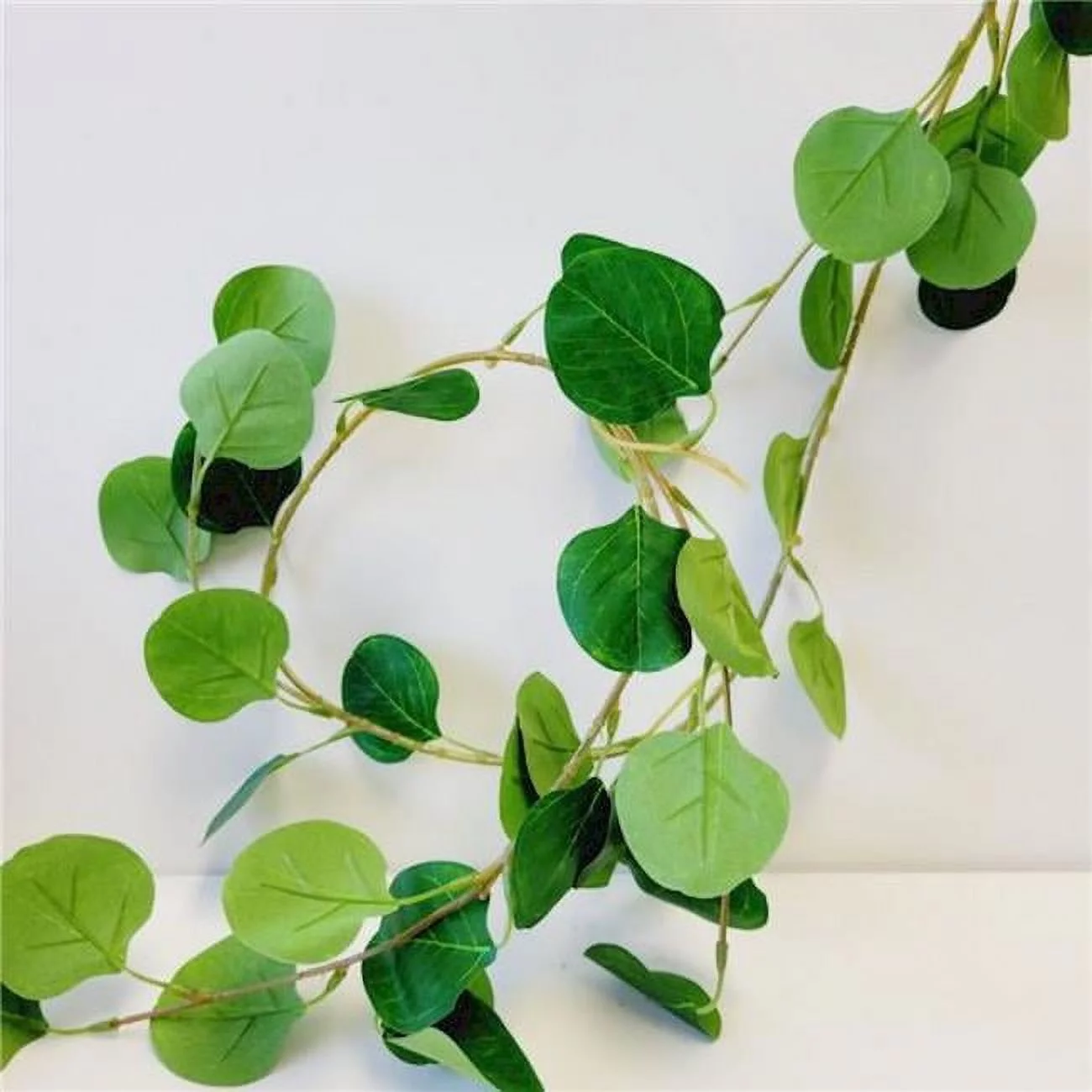 Green & Silver Dollar Eucalyptus Garland