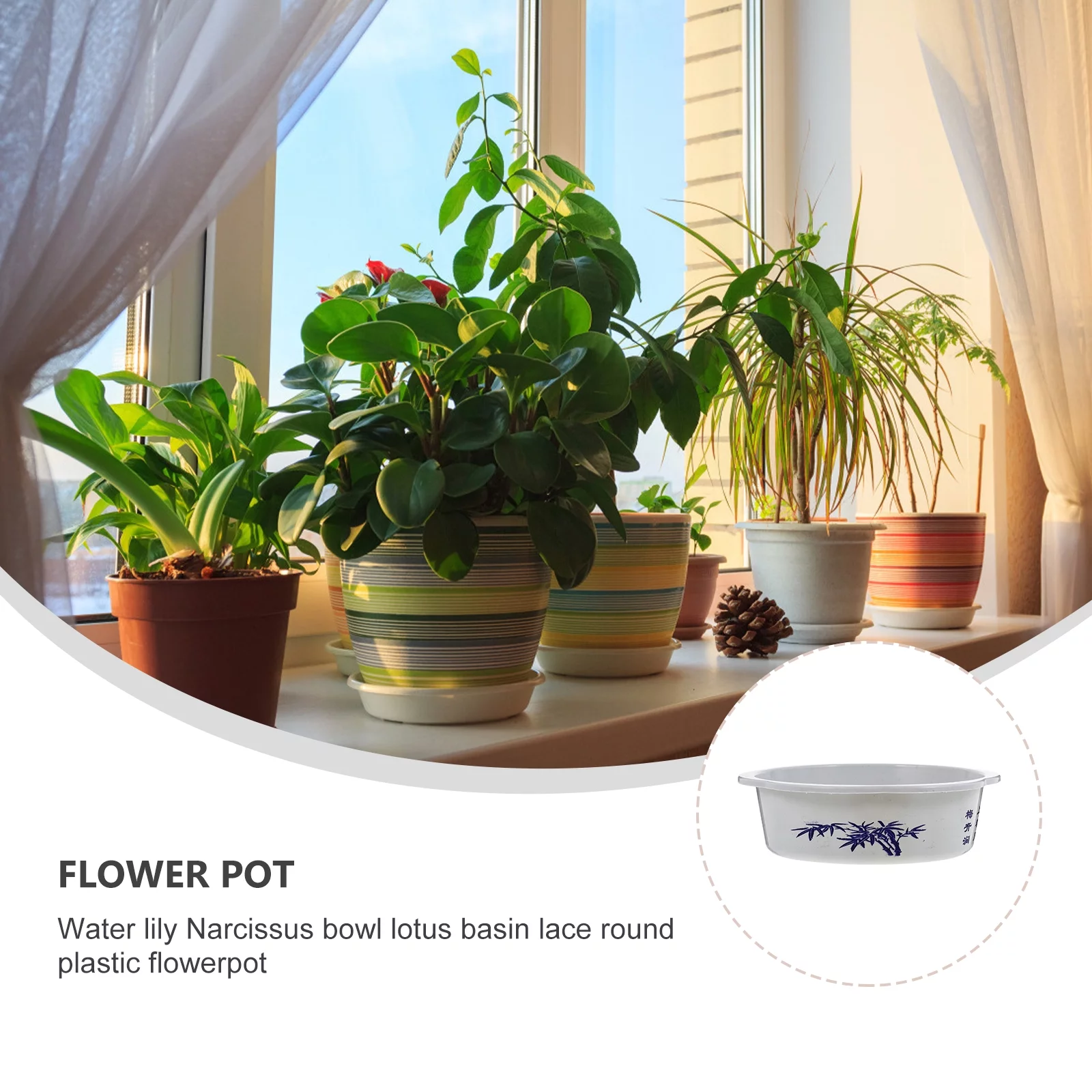 Gongxipen 10pcs Plastic Hydroponic Planting Basin Water Lily Narcissus Planting Bowls