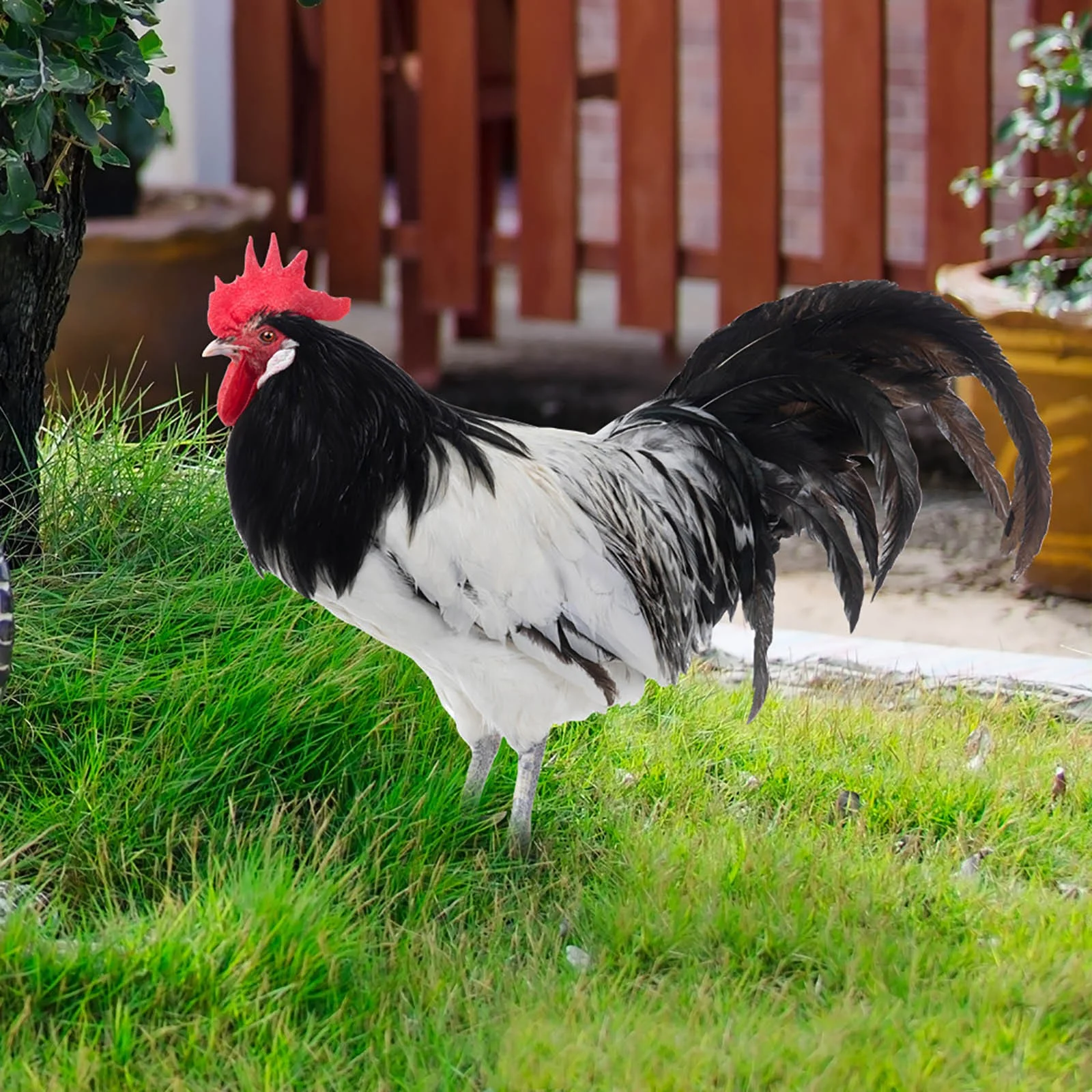 iju7gthy Gardening Supplies Pots Big Size 4th of July Indoor Gardenration Fun Plug in Rooster Courtyard Plug in Art Garden Garden Outdoorration Plug In