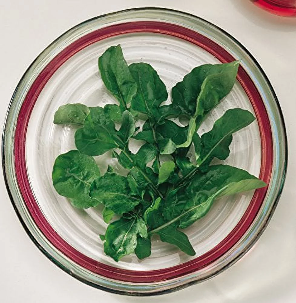 Burpee Rocket (Organic) Arugula Seeds 1000 seeds