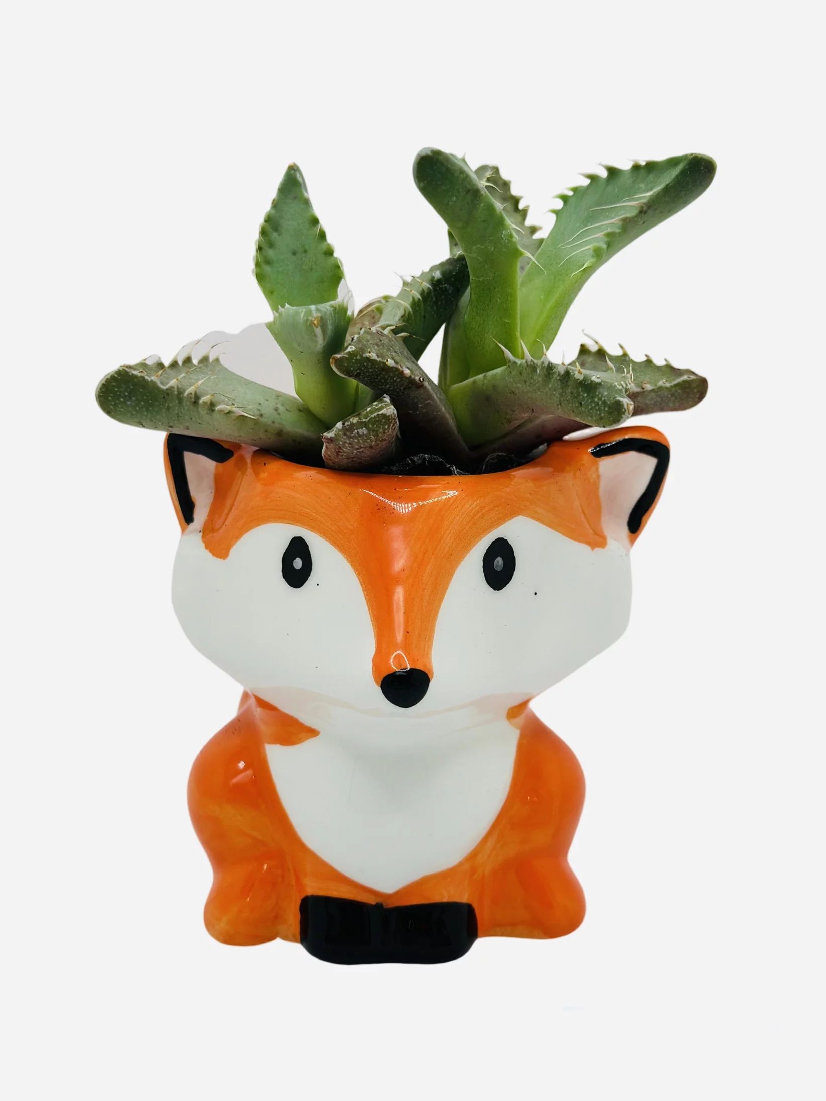 CZ Grain 1 Pot | 3 Inch | Small Succulent Plant Ceramic Animal Pot, Cute Home and Office Decor (Fox)
