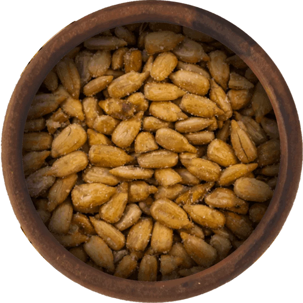 Bulk Roasted and Salted Sunflower Seeds 25 Pound Wholesale Box