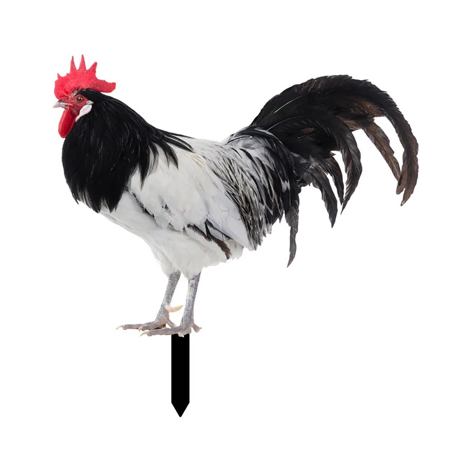 iju7gthy Gardening Supplies Pots Big Size 4th of July Indoor Gardenration Fun Plug in Rooster Courtyard Plug in Art Garden Garden Outdoorration Plug In