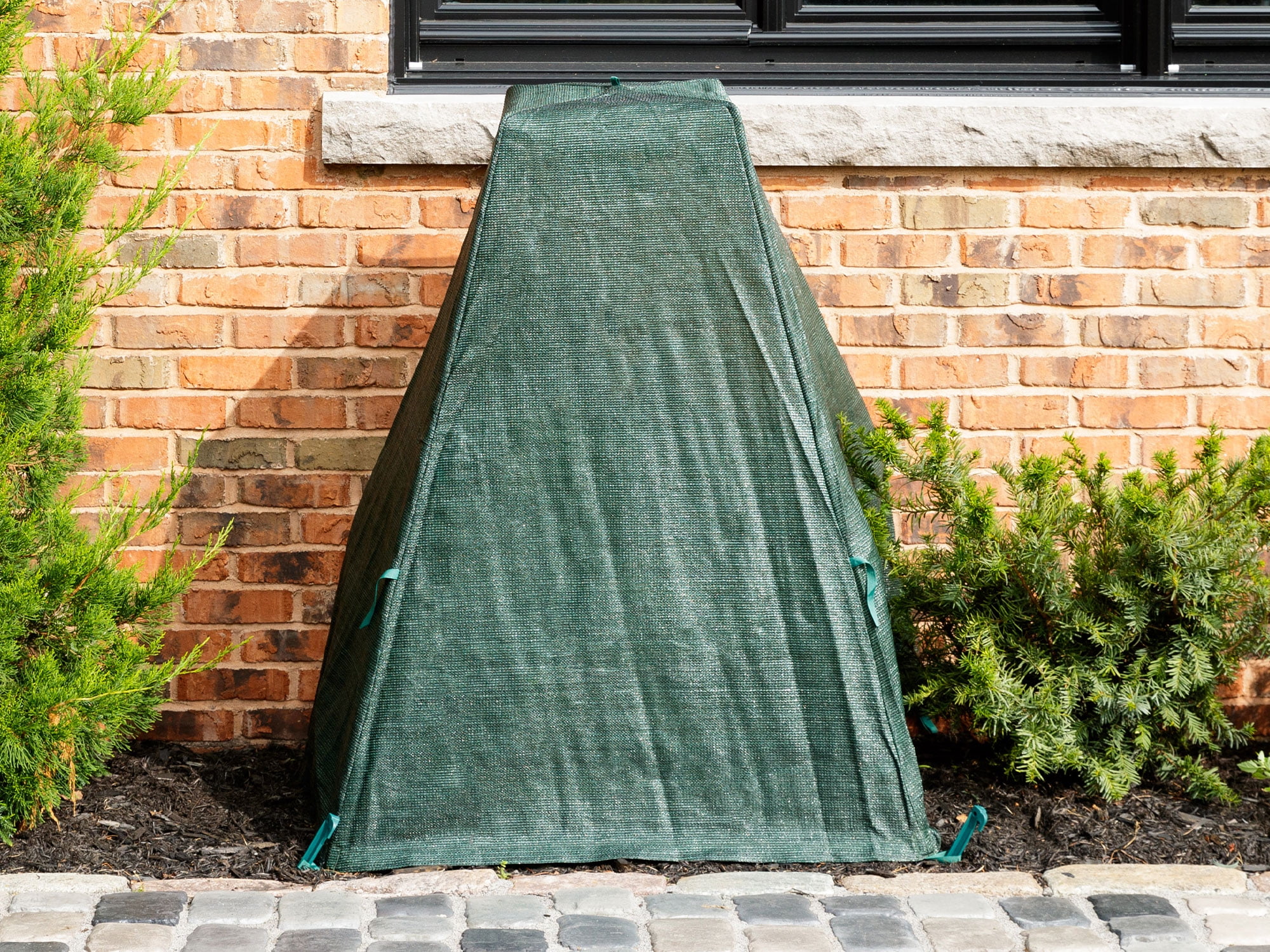 Green Polyethylene Shrub Cover 28 In. X 28 In. X 34 In.