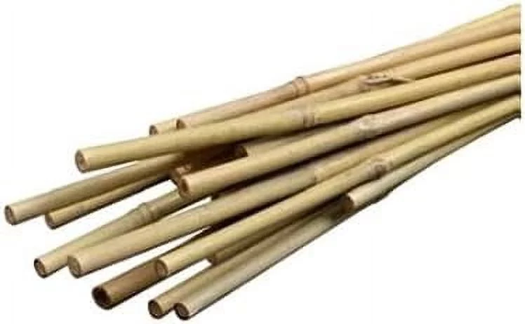 SMG12029 2 Ft X 1/4 In Packaged Bamboo Stakes, 12 Pack, Natural