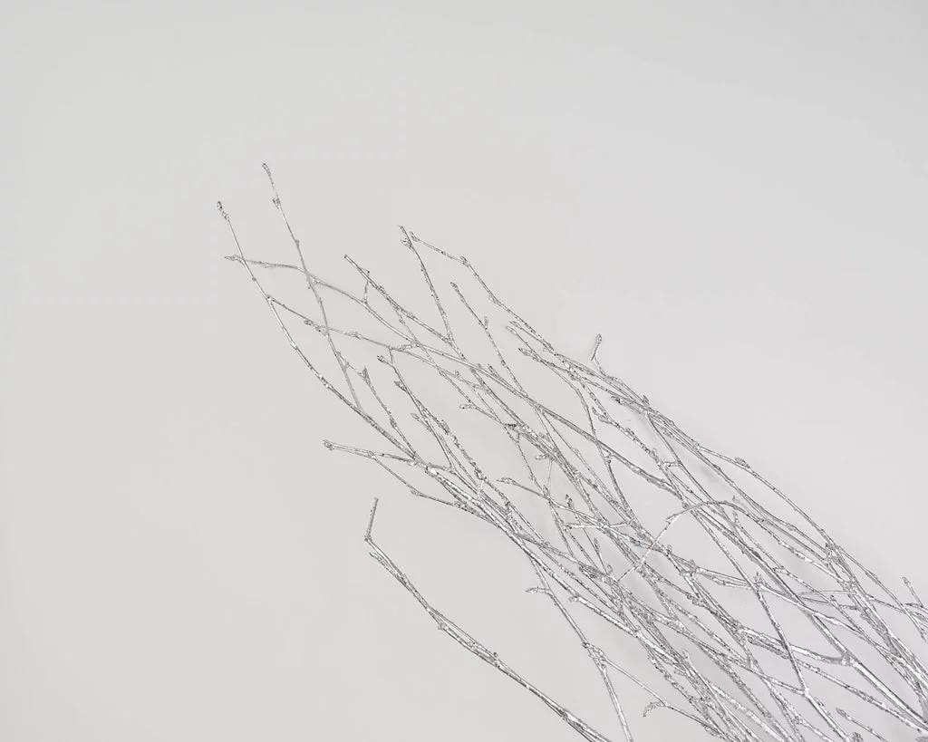 Case of 12 Bunches, Silver Glittered Birch Branches for Craft Project, Floral Arrangement, or Holiday Theme Décor