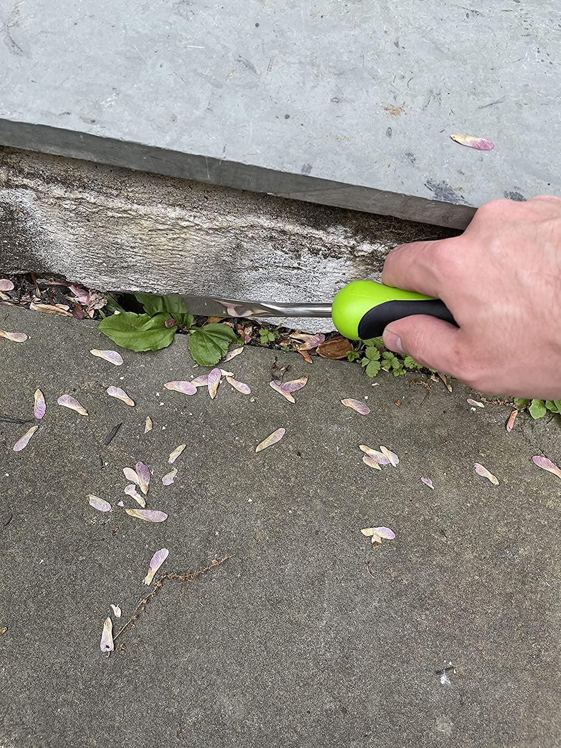 Garden Guru Patio Crack Weeder Tool with Ergonomic Handle, Rust Resistant Stainless Steel Weed Puller, Garden Weeding Tool (2 Pack)