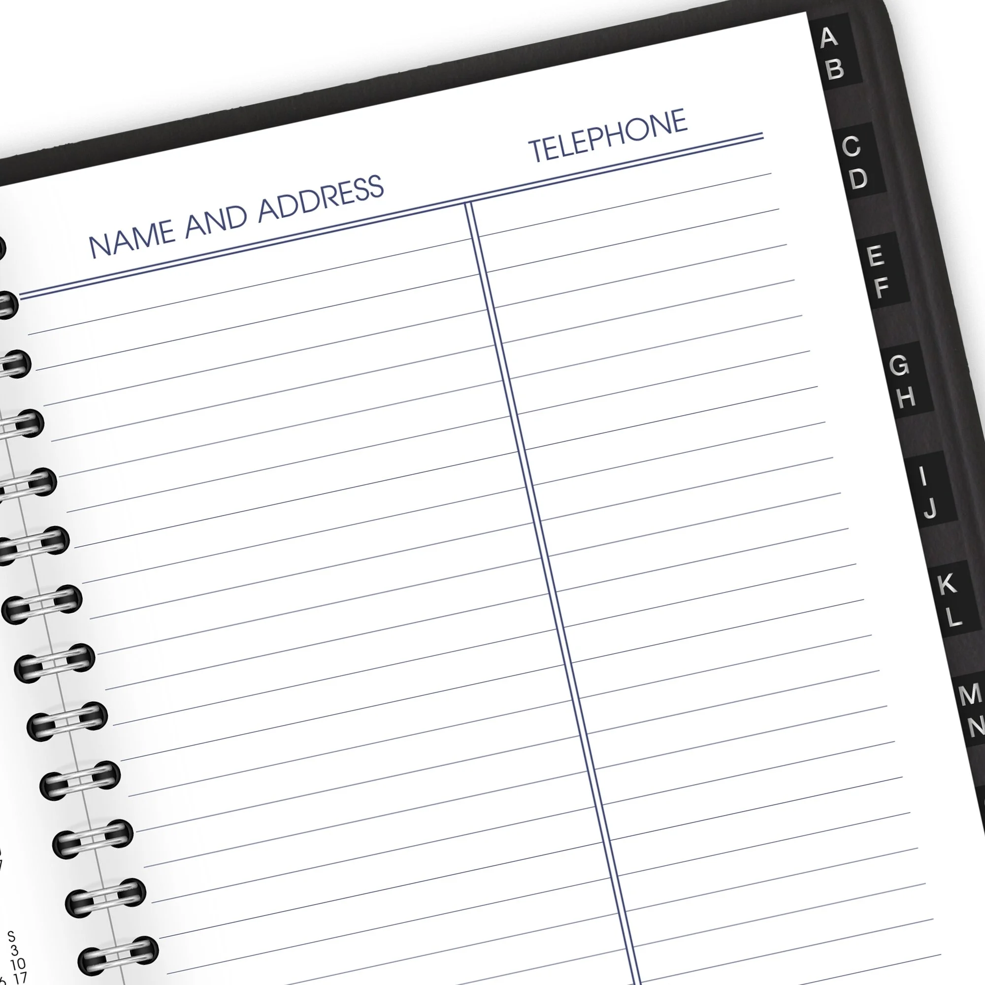 AT-A-GLANCE DayMinder 2024 Weekly Appointment Book Planner Tabbed