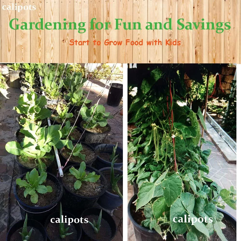 1 Gallon Premium Black Plastic Nursery Plant Container Garden Planter Pots (1 Gallon)