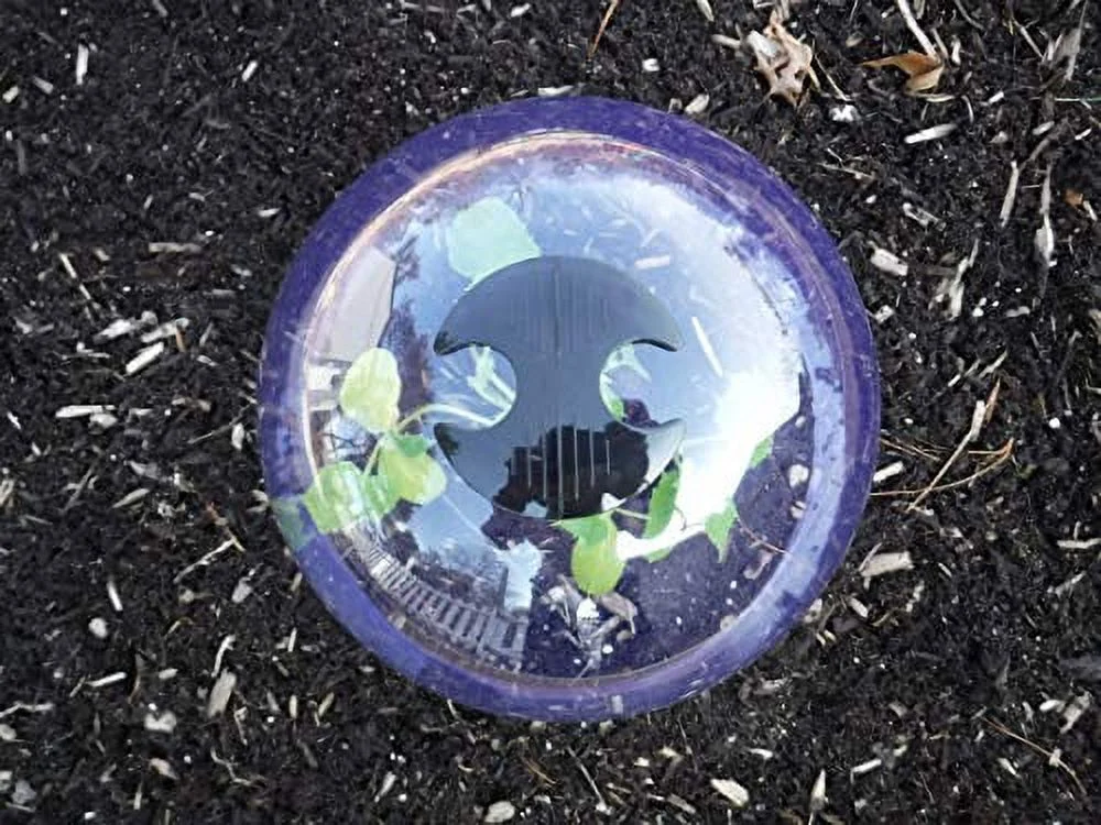 6-Pack! GrowAway™ Medium Reusable Plastic Mini Greenhouse, Garden Cloche Dome, Plant Covers Frost Guard Freeze Protection for Plants Outdoors, Garden Tools, Garden Accessories - 10.24