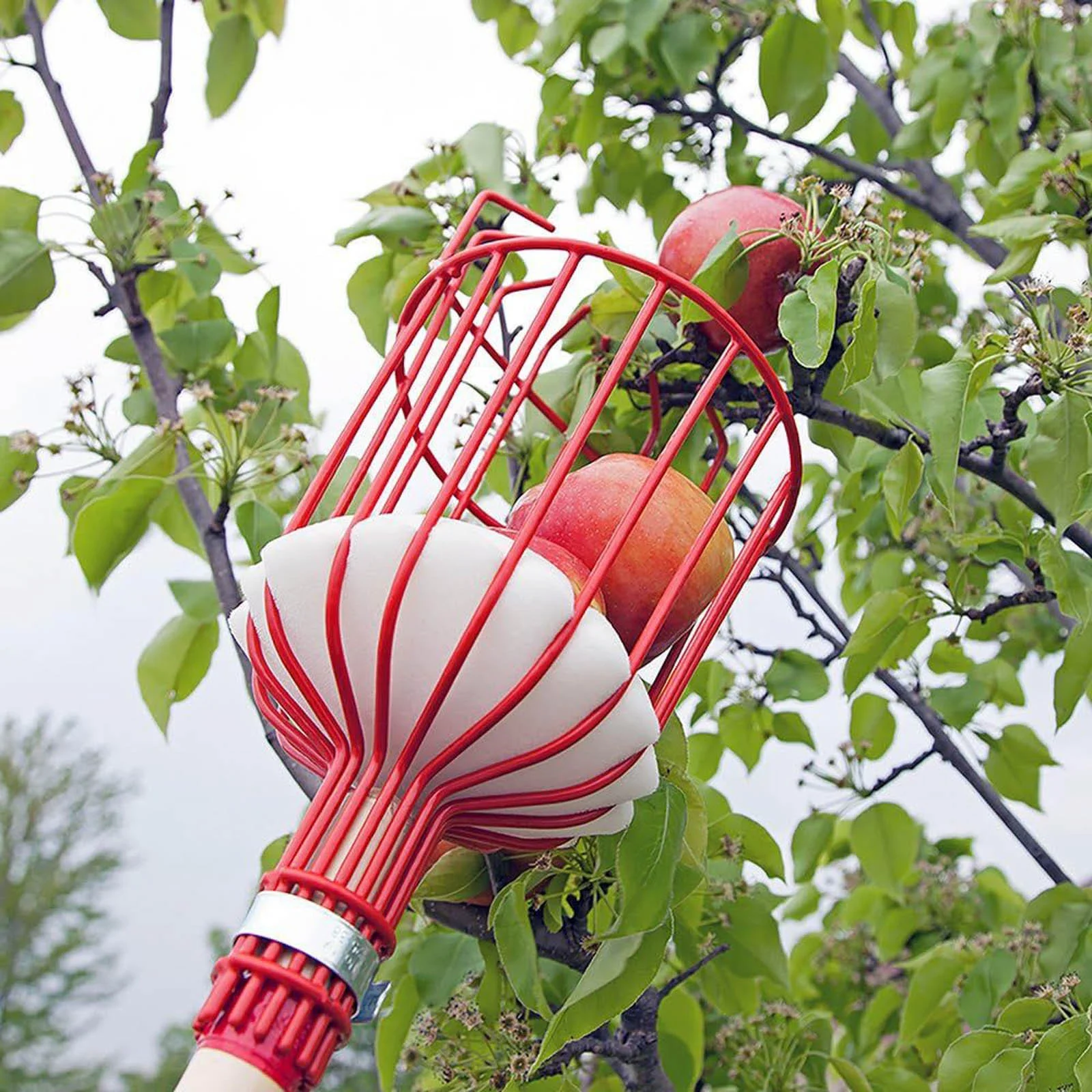 NLLSHGJ 1.6m Long Household Garden Fruit Pick Stainless Steel Aerial Fruit Picking Tool Fruit Picking Equipment