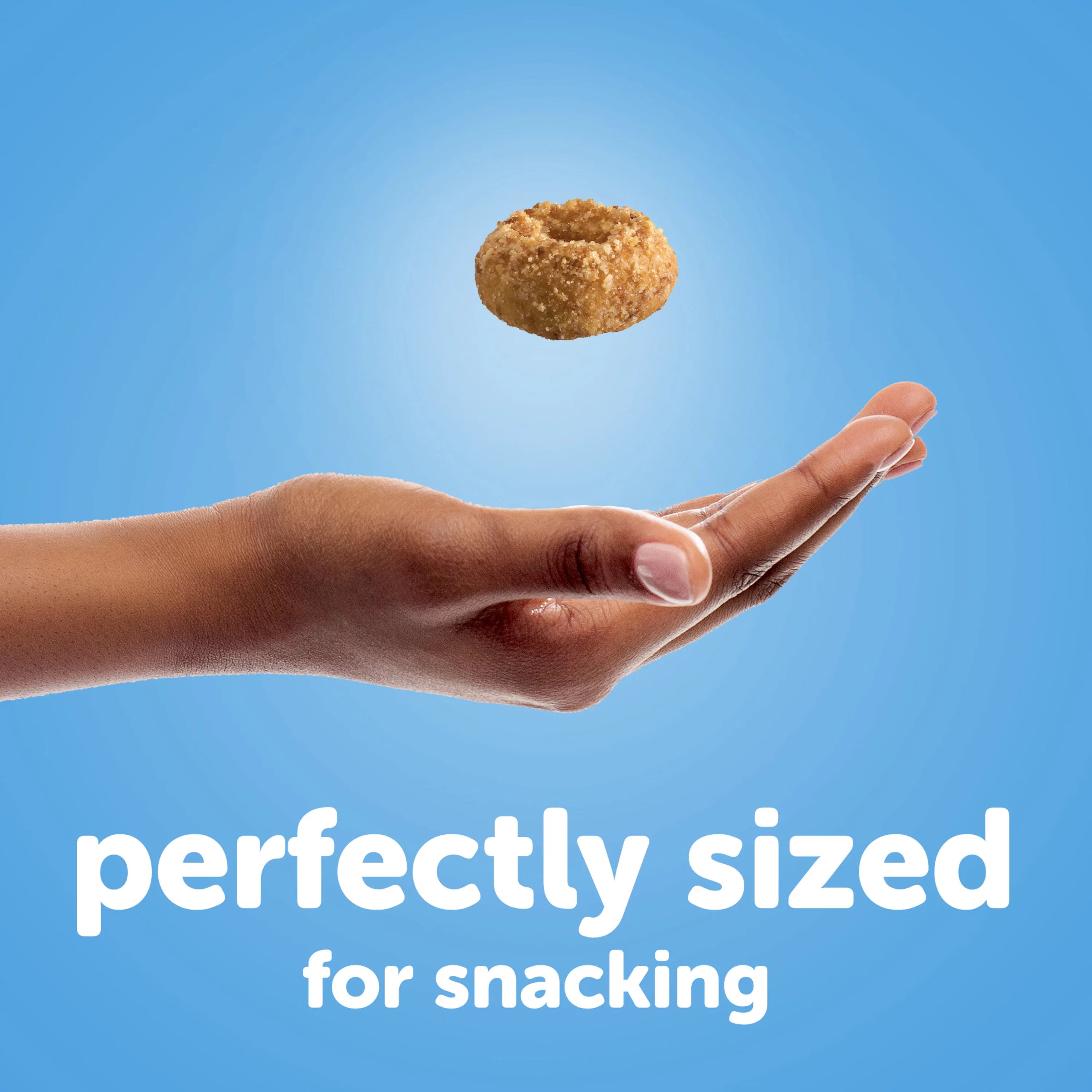 HOSTESS Crunch DONETTES, Sweet Coconut Crunch, 9.5 oz