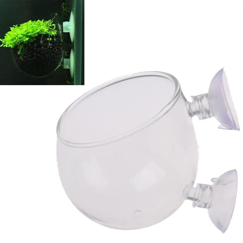 Fish Tank Mini Crystal Glass Pot Water Potted Aquatic Planting Cylinder Cup
