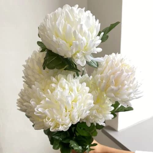 CHUXAY GARDEN White Chrysanthemum Seed,Mums,Chrysanths 10000 Seeds Beautiful Potted Plants Attract Butterflies and Bees Easy Cultivating