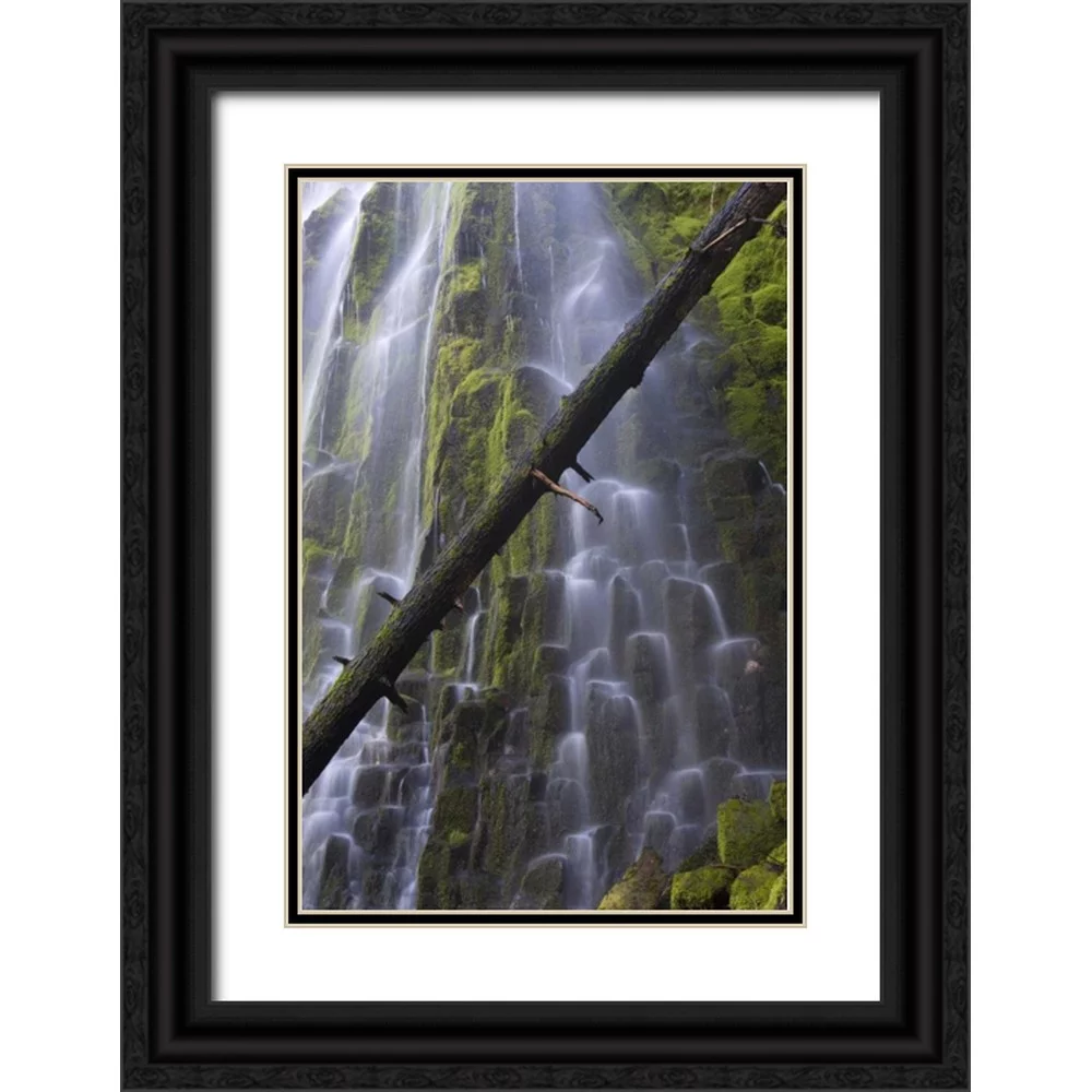 Delisle, Gilles 13x18 Black Ornate Wood Framed with Double Matting Museum Art Print Titled - Oregon, Proxy Falls Waterfalls over basalt
