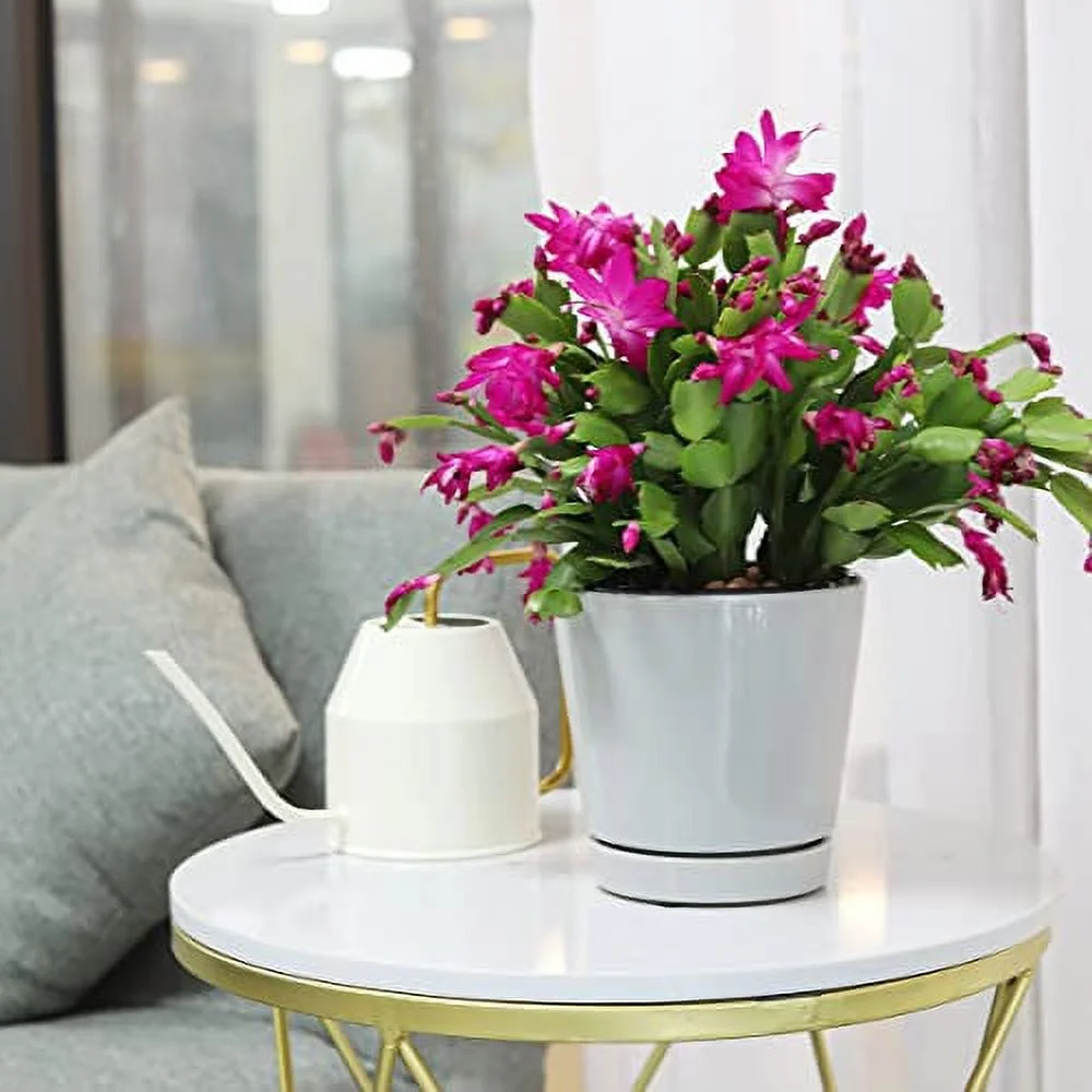 Plant Pot Set of 3 Minimalist Ceramic Planter for Indoor & Outdoor, 4 inch Gray, Succulent Flower Pot with Drainage Hole and Saucer, Full Glazed Finish, Modern Decorative for Home Office