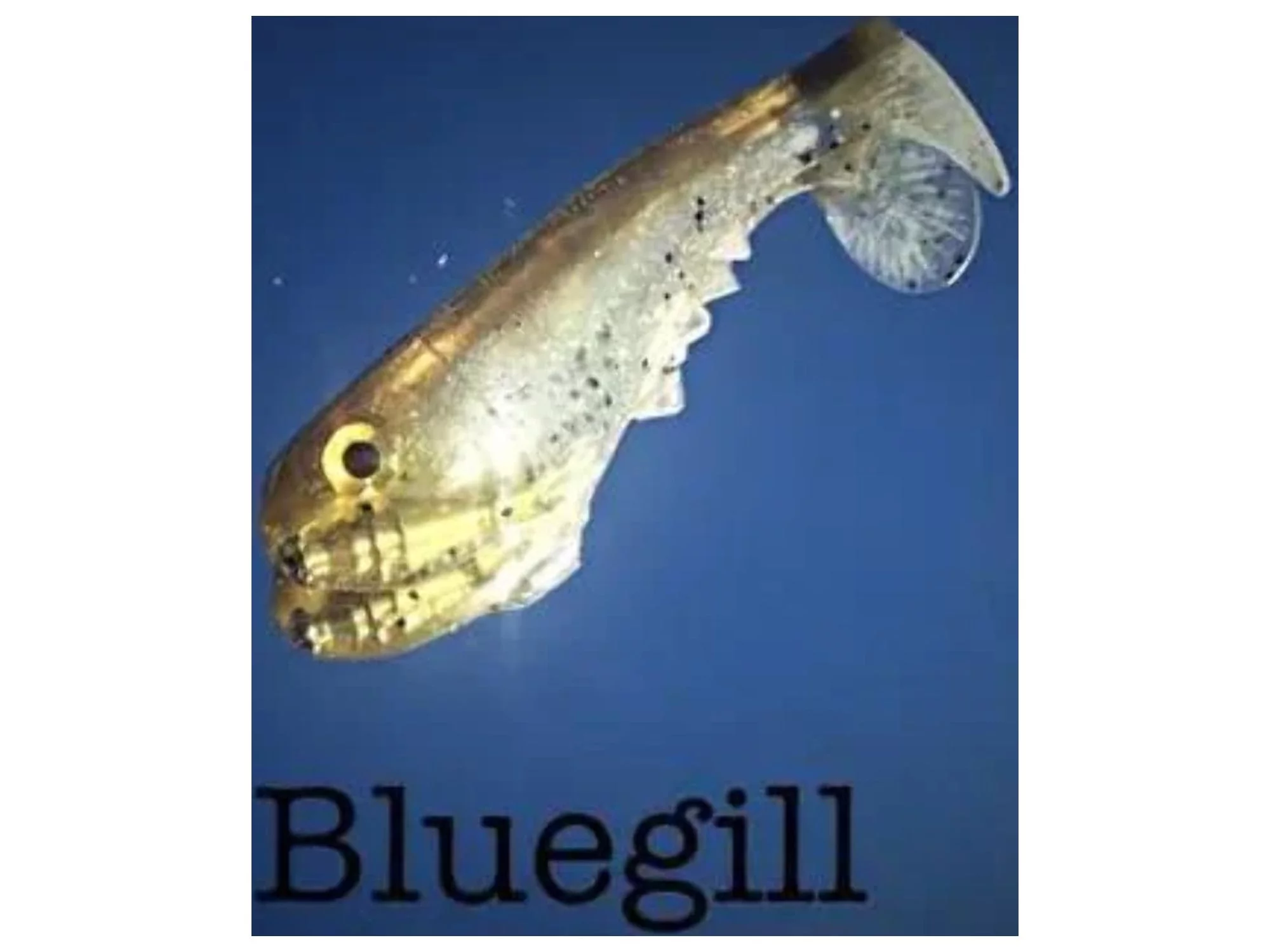 Smash-Tech Line-Thru Poacher